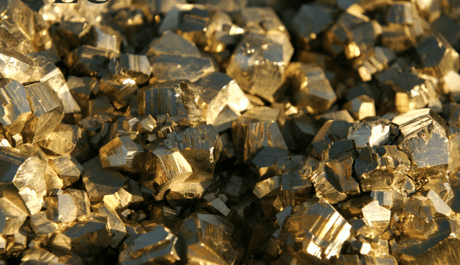 تقرير شركة نوفا الربع سنوي تقرير شركة نوفا الربع سنوي