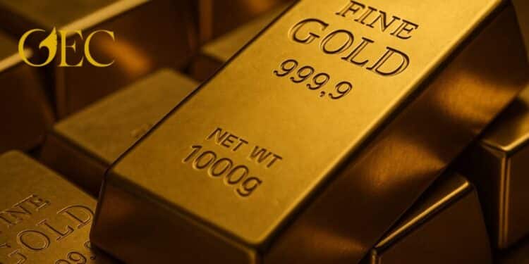 الدولار الدولار