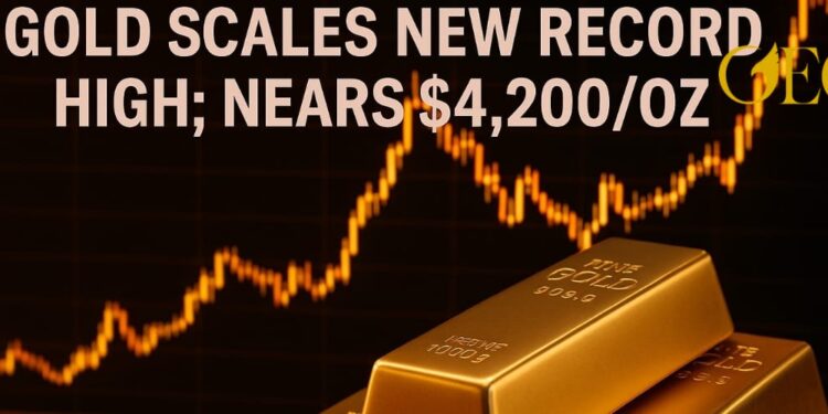 سعر الذهب سعر الذهب