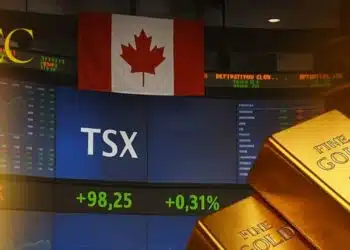 الأسهم العالمية الأسهم الكندية