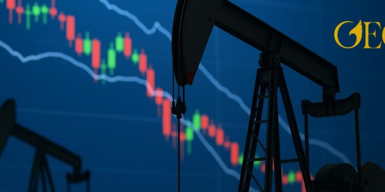 النفط النفط