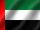 uae flag